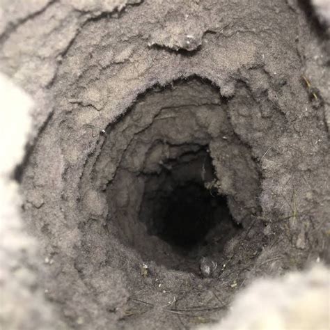 Photos Lehigh Valley Dryer Vent Solutions