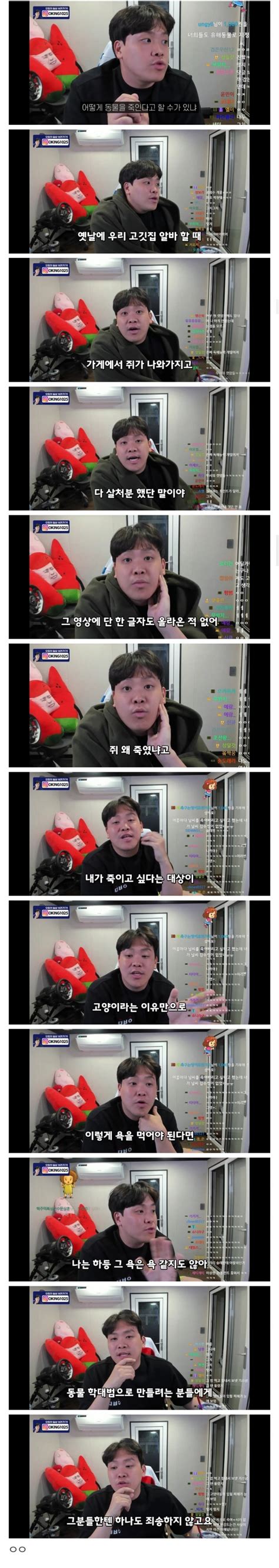 유튜버 오킹 길고양이 영상 관련 입장 표명 유머게시판 움짤저장소