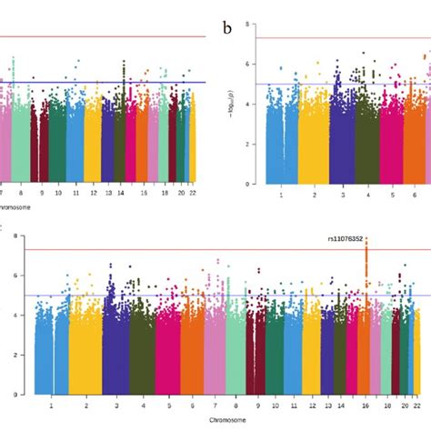 Manhattan Plot Of Log P Values Of The Gwas Results A Summary