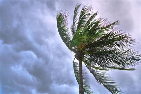 ONAMET warns of heavy rainfall and thunderstorms across Dominican Republic