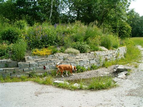 Home Balger Natur Umwelt Und Naturschutz Im Rheintal Gemeinde