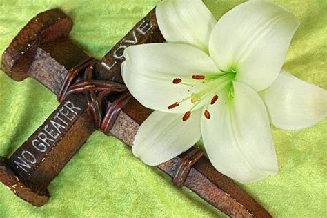 60 Easter Lily And Cross Stock Photos Pictures And Royalty Free Images