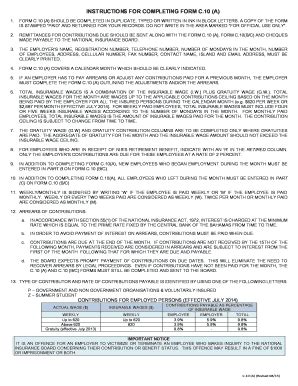 Fillable Online INSTRUCTIONS FOR COMPLETING FORM C10 A Fax Email Print