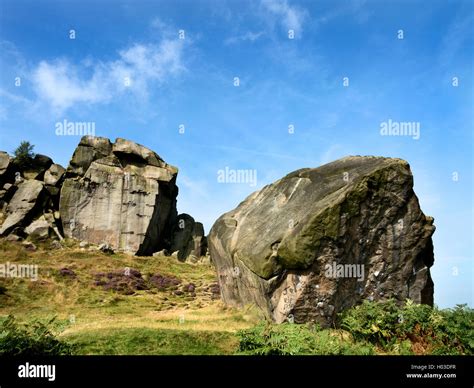 Cow and Calf Rocks on Ilkley Moor near Ilkley West Yorkshire England ...