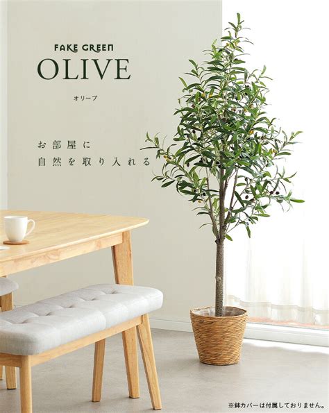 人工観葉植物 フェイクグリーン Oliveオリーブ Grn 17 H152cm 人工植物 観葉植物 おしゃれ フェイク 造花 大型