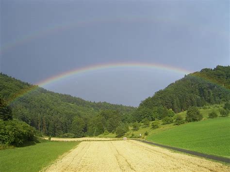 Rainbow | Пикабу
