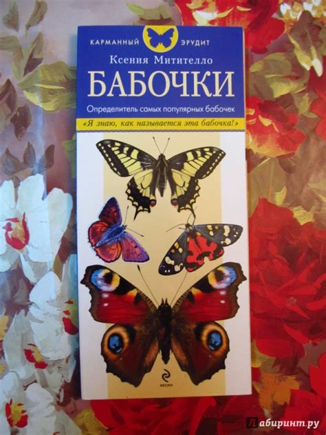 Книга: Бабочки. Определитель самых популярных бабочек - Ксения ...