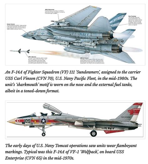 Fighter Jet Types Infographic