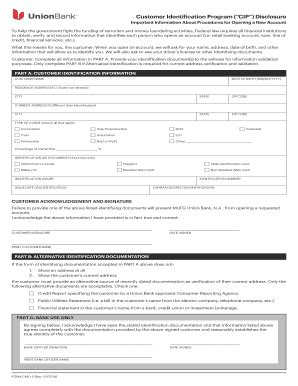 Cip Disclosure Fill Online Printable Fillable Blank Pdffiller