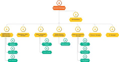 Organizational Structure – Dallah Pharma