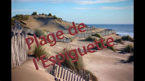 Camargue Plage De L Espiguette Youtube