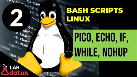 Parte2 Tutorial De Bash Script En Linux Comando Echo Y Uso De Variables Youtube