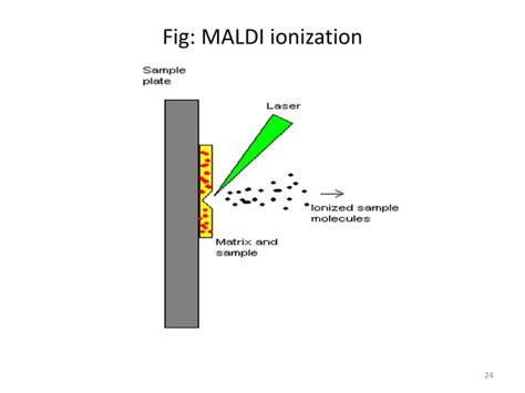 Mass Spectrometry Ionization Techniques