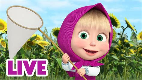 🔴 Live Stream 🎬 Masha And The Bear 🙌🤩 Weekend With Masha 🗓️👧 Youtube