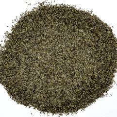 Artemisia vulgaris Seeds – NDG Botanicals