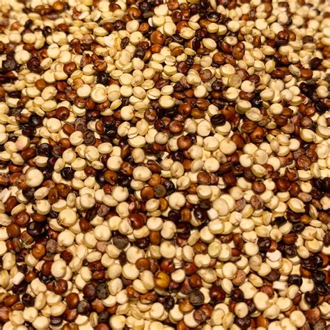 Quinoa Rainbow 25 Lb Bag Next Generation Foods