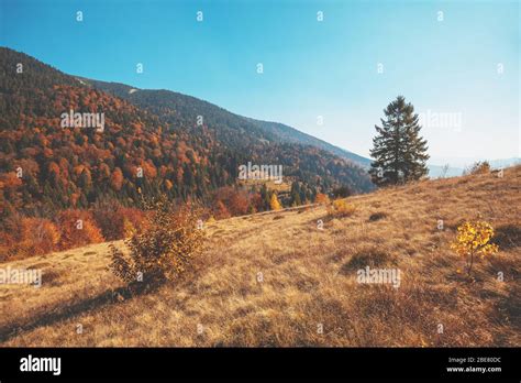 Autumn In The Mountains View Of The Mountains In Autumn Beautiful