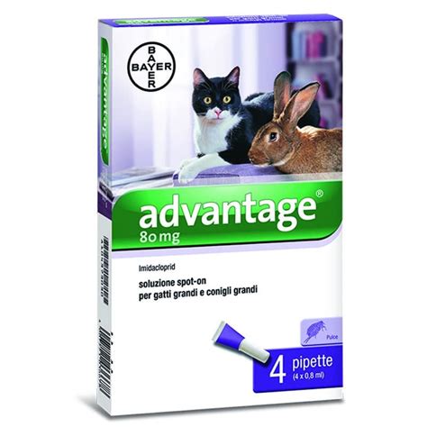 Advantage Pipette Antiparassitario Per Gatti E Conigli Grandi