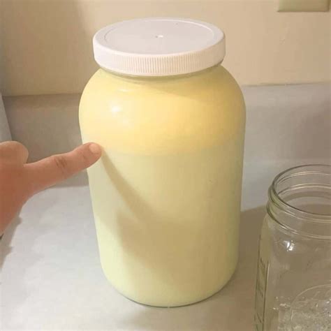 How to Skim Heavy Cream from Raw Milk - Rivers Family Farm