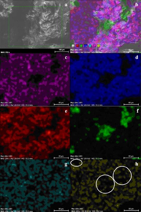 Figure From Solidification Stabilization Of Toxic Metals In Calcium