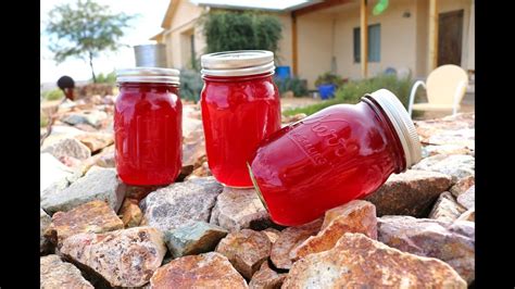 Prickly Pear Jelly How To Make Prickly Pear Jelly Pear Jam