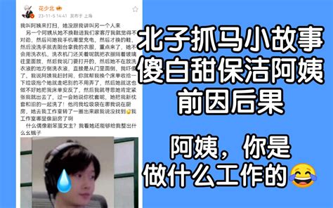 【花少北】阿姨，你是做什么工作的（微博傻白甜保洁阿姨故事的前因后果） 你风不枫我不疯 你风不枫我不疯 哔哩哔哩视频