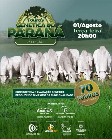 7º LEILÃO DE TOUROS GENÉTICA DO PARANÁ em VIRTUAL LONDRINA PR SBA1