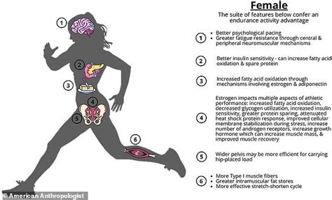 Debunking The Myth Of The Male Hunter Prehistoric Women Were BETTER At