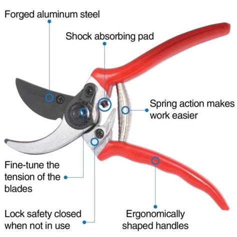 Buy "My Cozy Home" Pruner - Pruning Shears with Safety Lock Cheap | H&J Liquidators and ...