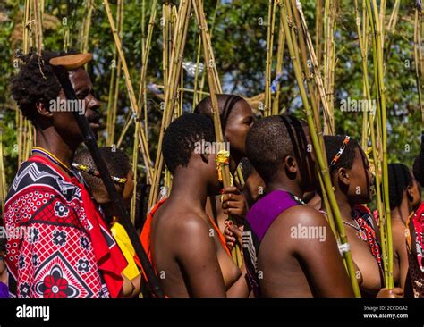 Reed dance in swaziland hi-res stock photography and images - Alamy