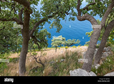 Albanien Balkanhalbinsel S Dosteuropa Republik Albanien Trekking