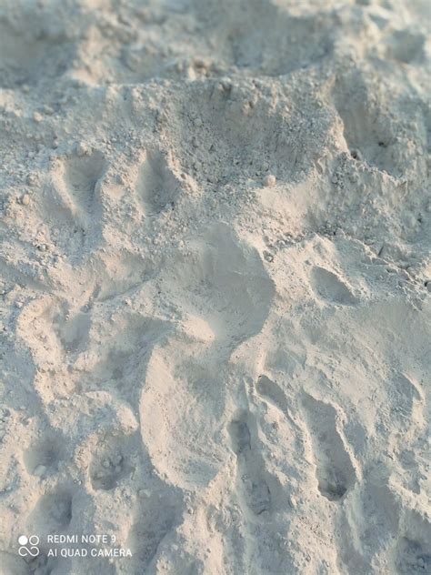 Fly Ash Powder Full Truck Packaging Type Open At Rs 800 Tonne In