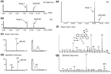 Liquid Chromatography Mass Spectrometry Lc Ms And Gas Download