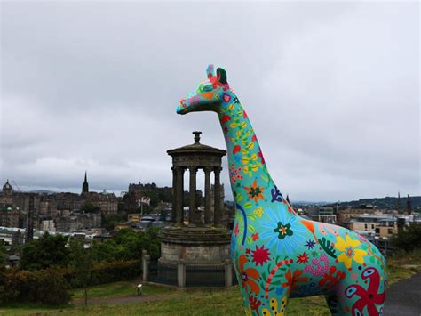 Edinburgh Zoo Announces City Wide Sculpture Trail News Whats On