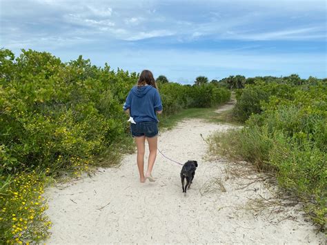 dog friendly beach new jersey 11