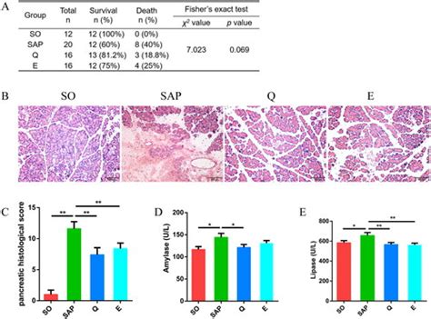 Full Article Qingyi Granules Ameliorate Severe Acute Pancreatitis In