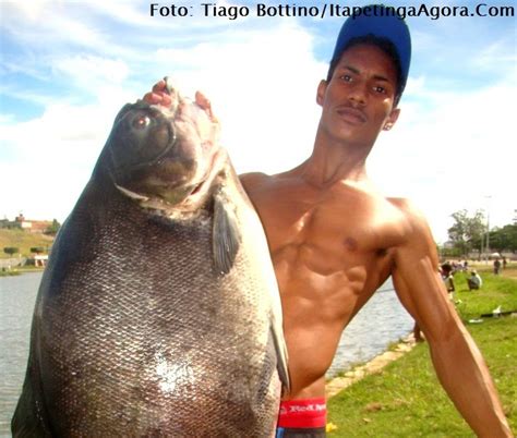 Ibicara Pol Tica Peixe Gigante Pescado No Parque Da Lagoa Em