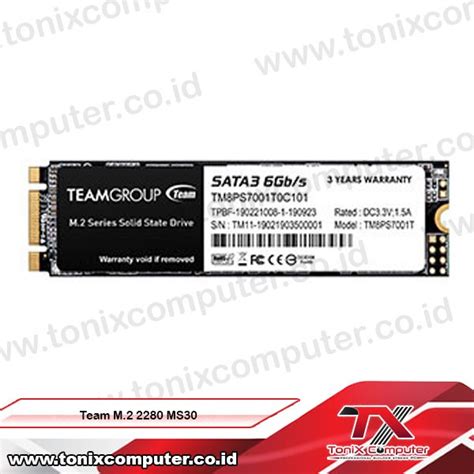 Jual TEAM SSD MSATA M2 M 2 MS30 2280 256GB Jakarta Pusat Tonix