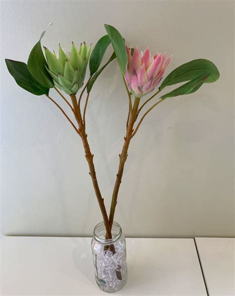 F0160sml N Silk King Protea Protea Cynaroides 53cm Light Green Pink