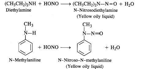 NCERT Solutions For Class 12 Chemistry Chapter 13 Amines