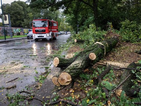 Maltempo In Piemonte Colate Di Fango E Alberi Caduti Lapresse