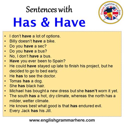 Sentences With Has And Have Has And Have In A Sentence In English