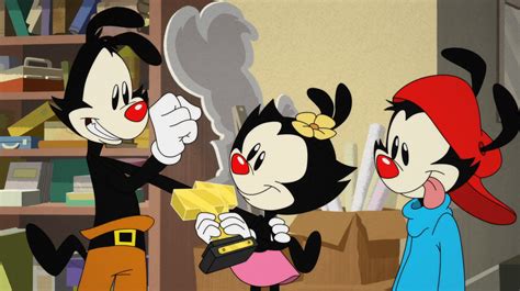 Watch Animaniacs 2020 Season 3 Episode 1 Online Video Free In Hd