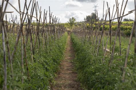 El Instituto Agrícola valora muy positivamente el rechazo de la