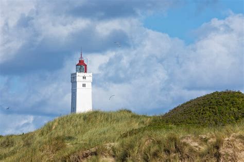 Blavand Bilder – Durchsuchen 1,304 Archivfotos, Vektorgrafiken und ...