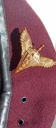 знак на берет (кокарда ) ВДВ Украины (торги завершены #274735139)