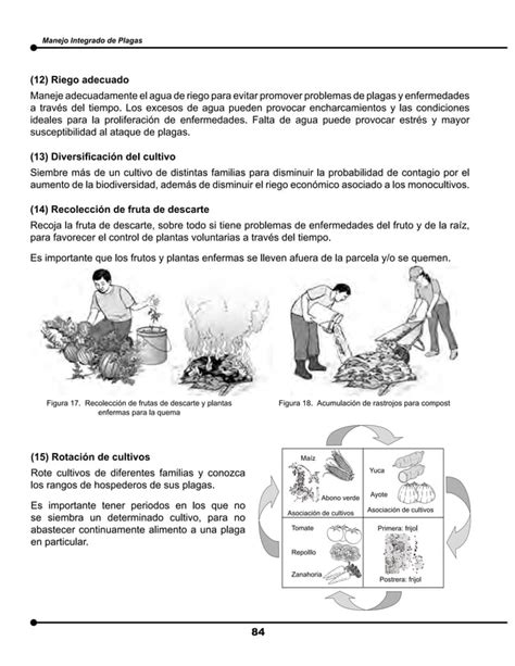 Manual De Manejo Integrado De Plagas Part2 Pdf