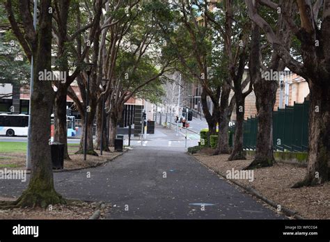 Park in Sydney Stock Photo - Alamy