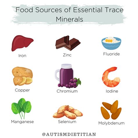 Trace Minerals The Nourishing Autism Collective