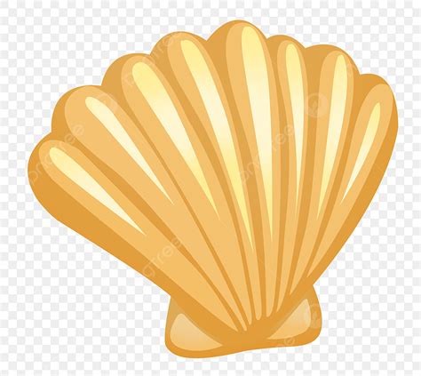 Seashell Png Vector Psd And Clipart With Transparent Background For